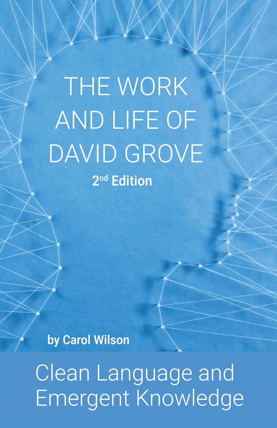 Carnations in Lisbon